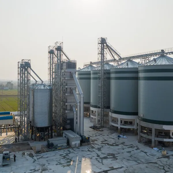 Galvanized Flat Bottom Grain Silo With Conveyor Bucket Elevator Aeration Temperature Monitoring System photo-5