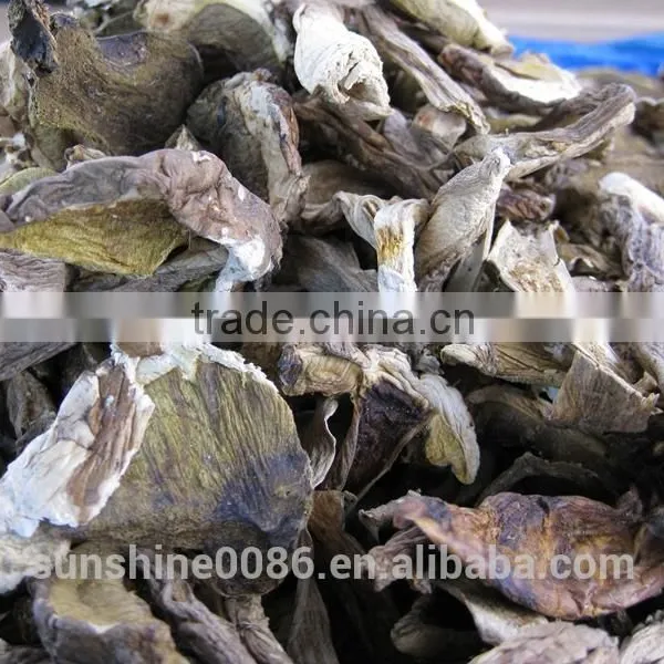 Esculent Wild Dried Slice Boletus Mushroom photo-4