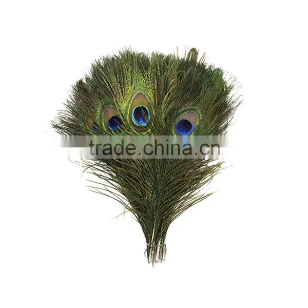 Natural Artificial Hobby Lobby Peacock Feathers photo-2