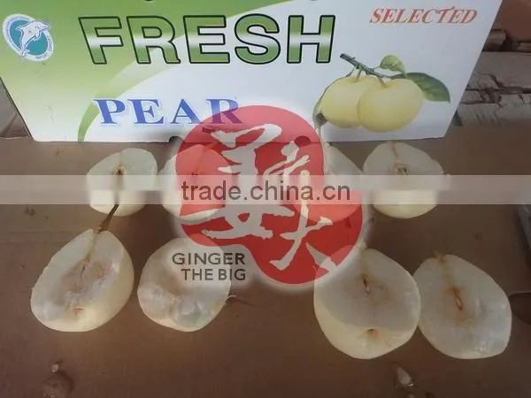 Fresh Pear photo-4