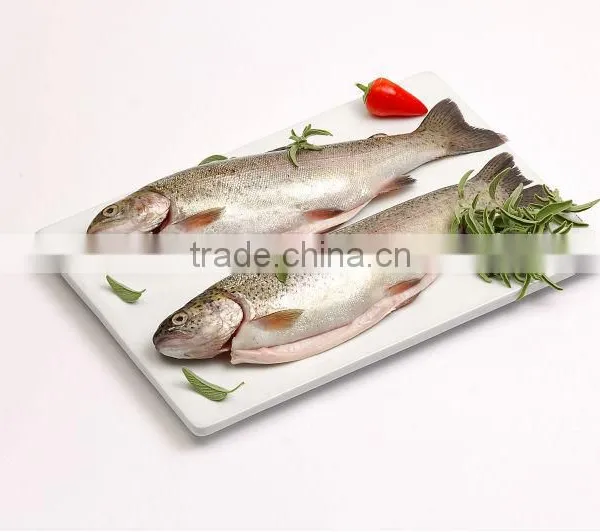 Rainbow Trout