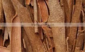 Tube Or Whole Cassia