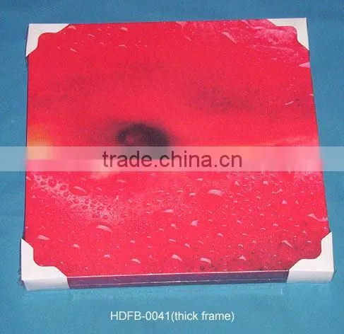 Canvas Frame Paintings