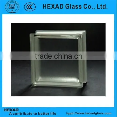 Chinese Supplier Cheap Hollow Glass Block photo-4
