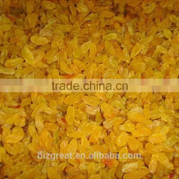 Dried Fruits-Air Dried Sweet Dried Golden Raisins for Sales photo-2