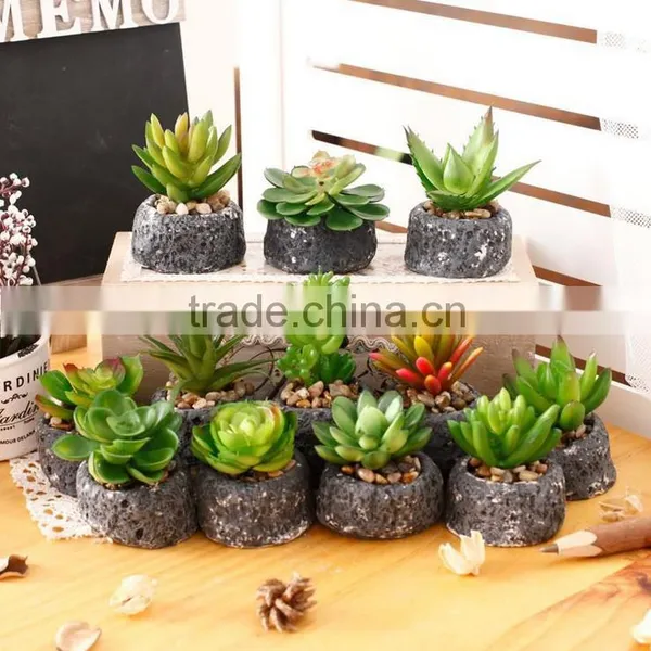 2016 Latest Design Artificial Succulent Pot Succulent Plants For Sale photo-2