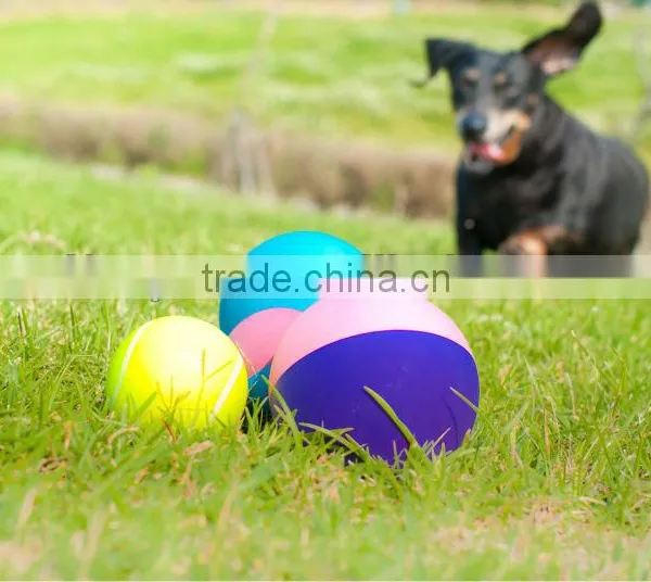 Hollow Rubber Pet Ball photo-2