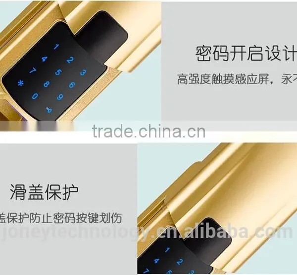 Remote Control Fingerprint Passwords Electric Door Lock photo-5