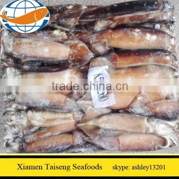 Illex Squid