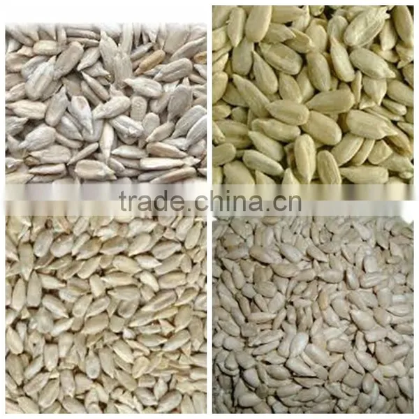 Sunflower Kernels Sunflower Seeds Kernels photo-4