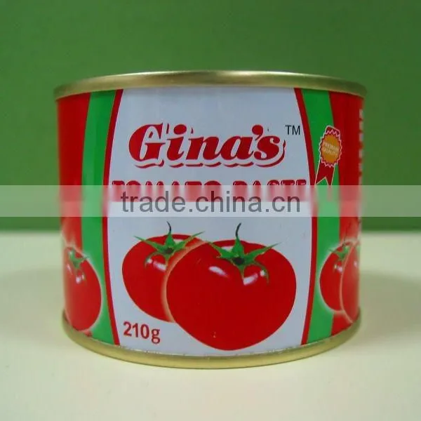 Oem Brand Bright Red Sweet Tomato Ketchup Paste Sauce With Best Price photo-6