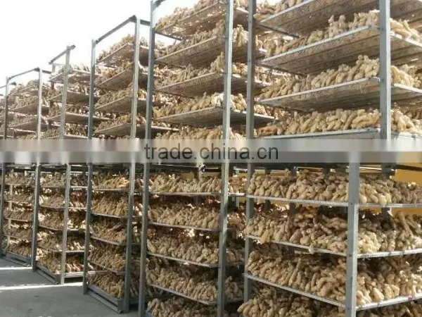 Fresh Air Dried Ginger photo-6