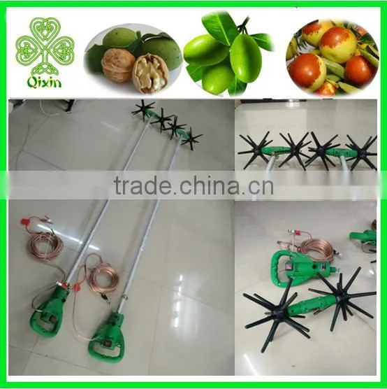 Olive Tree Shaker