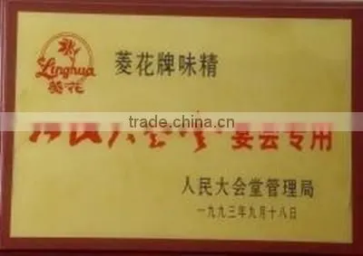 Ajinomoto Monosodium Glutamate 99% photo-5