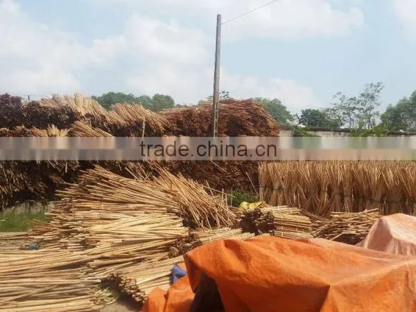 120X2.2CM UNCOATED NATURAL WOODEN STICK FACTORY FROM VIETNAM photo-3