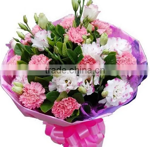 20 Pcs/ Bundle Fresh Carnation Fragrant Carnation Flower High Quality photo-2