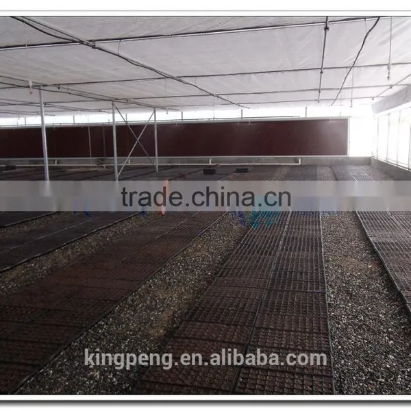 Venlo Polycarbonate Sheet Greenhouse for Sale photo-2