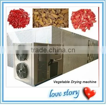 Apples Slices Chips Drying Machine/apples Slices Chips Dryer photo-4
