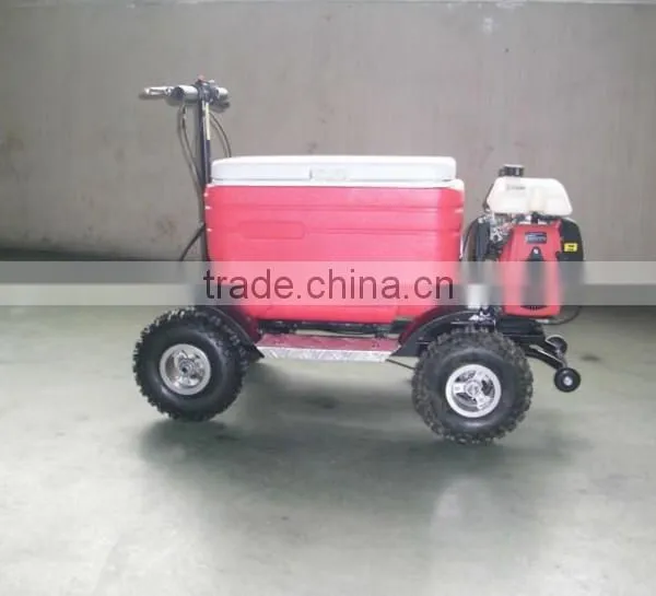 Hot Sale 48L 43cc EPA Gas Cooler Scooter/camping Scooter (TKS-S43) photo-4