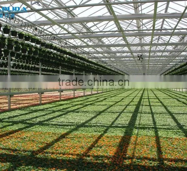 Multi Span Polycarbonate Green House Agriculture & Commercial Used Greenhouse photo-3
