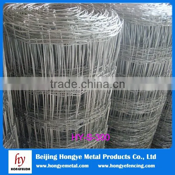 Grassland Wire Fence Panels Hot Sale(Shunxing Company) photo-4