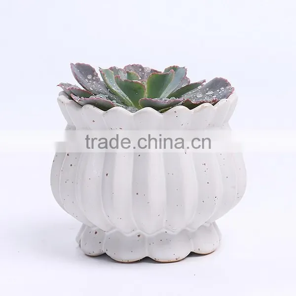 New Design Succulent Plants Ceramic Indoor Planters photo-3