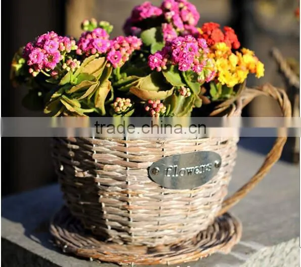100%Handmade White Wicker Cup Shape Flower Plant Basket Wicker Baskets for Plants photo-4