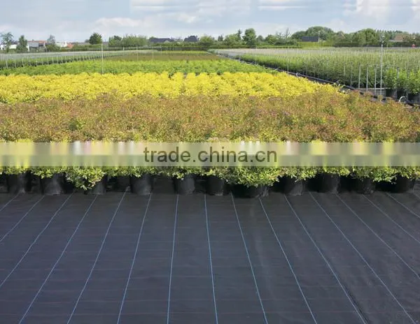 Silt Fence Selvedge Ground Cover photo-5