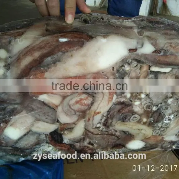 Wholesale Frozen Cheap Giant Squid Tentacles Fish Bait photo-2