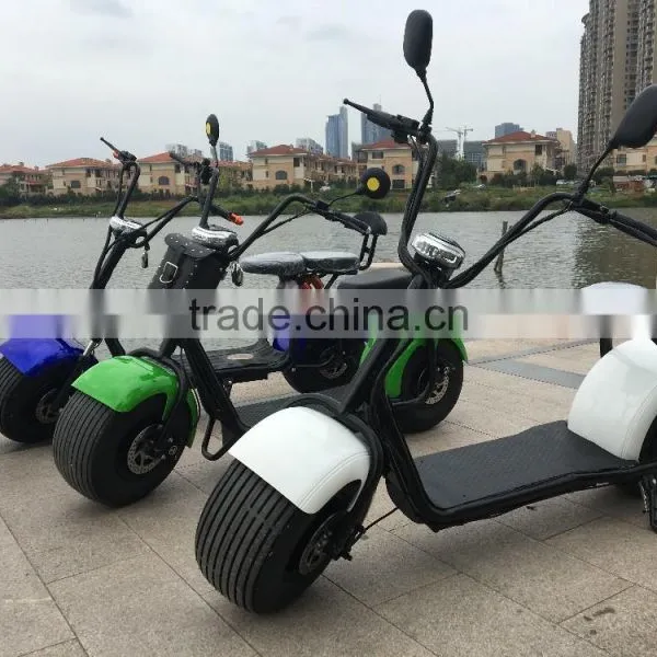 2016 Citycoco Electric Harley Style Adult Electric Scooter 2 Wheels Electric Motorcycle photo-5