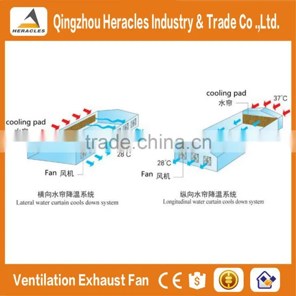 QingZhou Unique Drop Hammer 3 Phase Exhaust Fan / Industrial Exhaust Fan in China photo-2