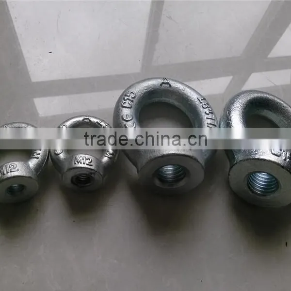 Rigging Galvanized Drop Forged Eye Nut photo-5