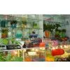 Water Gelball for Your Plants