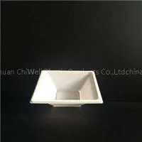 Square Plastic Plates