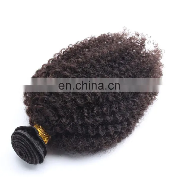 Grade 7a Hair Afro Kinky 100% Virgin Human Hair photo-2