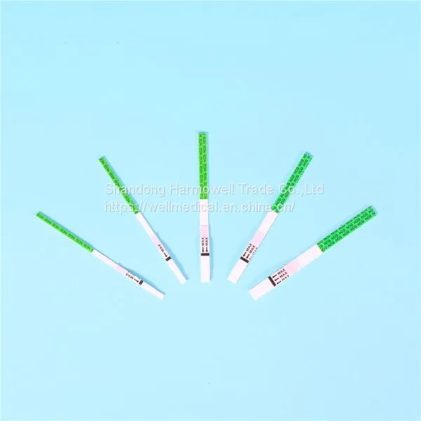 Home Use One Step Rapid Early Urine Pregnancy Test Strips photo-4