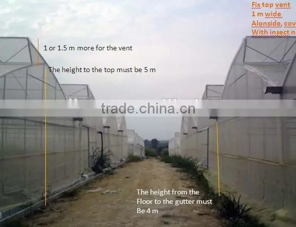 Agriculture Muti-span Plastic Covered Greenhouse photo-2