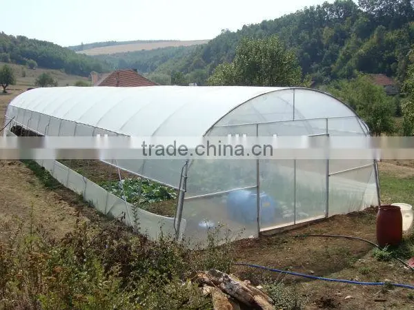 Plastic Film Covered Horticultural Greenhouse photo-4
