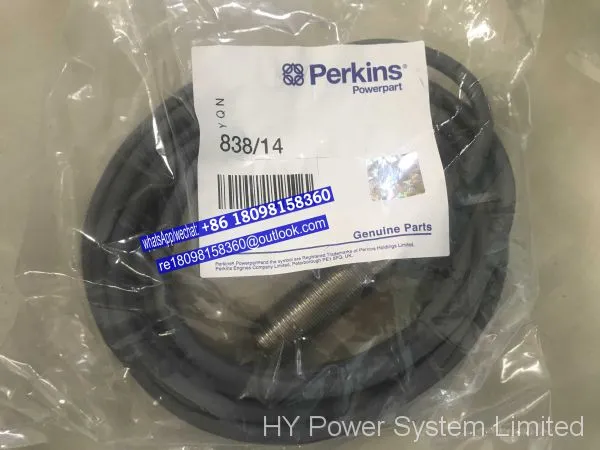 1375541 Perkins Priming Pump/lift Pump Diesel Engine Spare Parts for 4000 4006 4008 4012 4016 Dorman Generator Parts photo-2