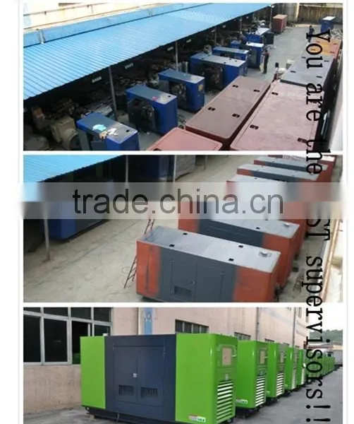 Portable Diesel Generator Direct Buy China photo-4