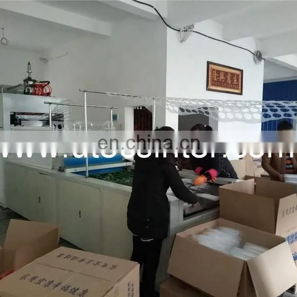 UD750B CE CSA Certificate Approval Automatic PP PET PS Plastic Dish Plate Tray Thermoforming Making Machine photo-5