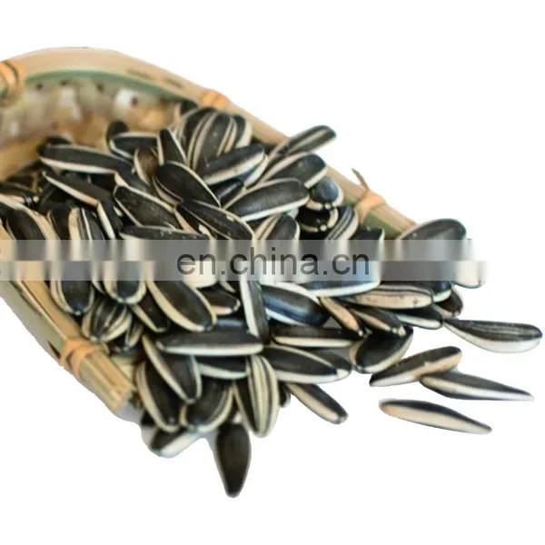 Black Sunflower Seeds to Produce Oil