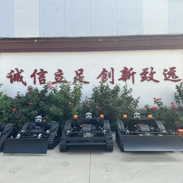 Industrial Remote Control Lawn Mower, China Mower rc Price, Radio Controlled Slope Mower for Sale photo-2