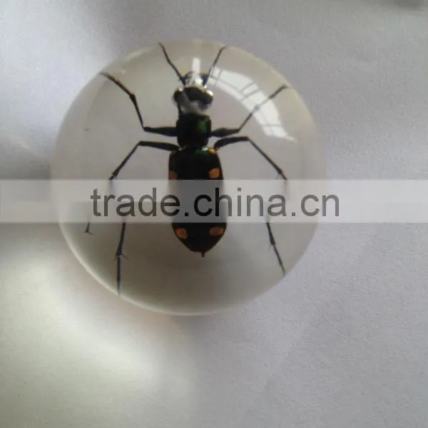 Professional Wholesale Inflatable Clear Plastic Ball With Human Ember Embedded for Christmas Gifts photo-5
