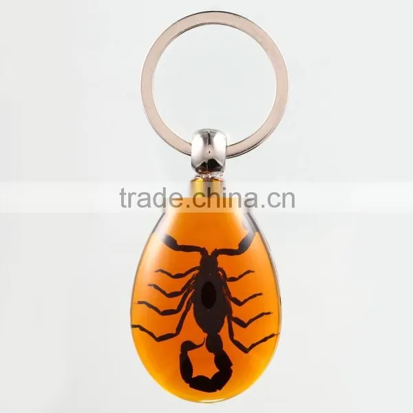 Real Insect Keychain With Scorpion photo-5