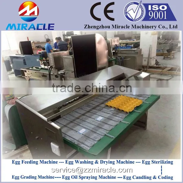 Top Selling in Chicken Eggs Grader Machine, Sorted and Graded Eggs by Weight photo-3