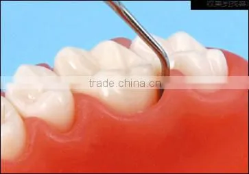 Dental Education Treating Periodontal Diseases for Teaching photo-4