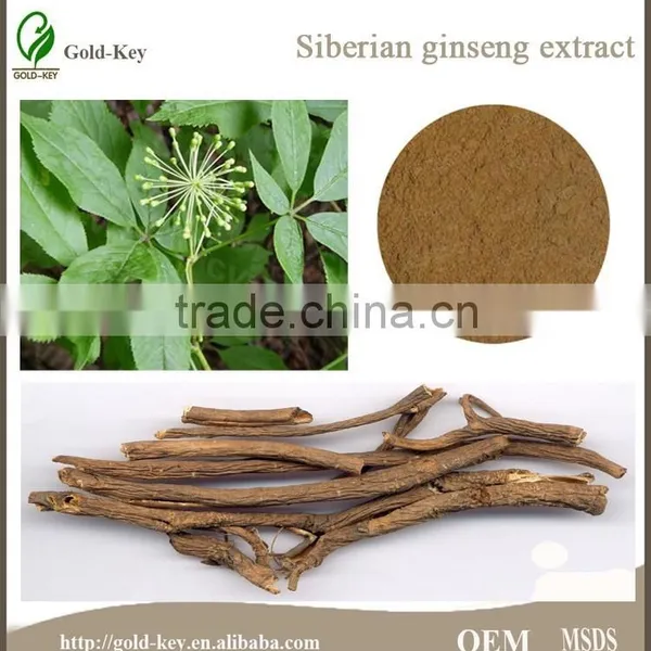 100% Pure Siberian Ginseng Root Extract Powder photo-5