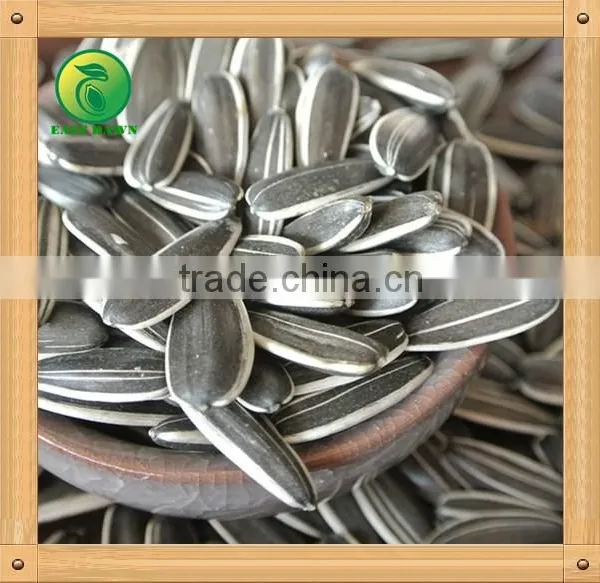 Chinese Sunflower Seeds 2015 New Crop photo-2