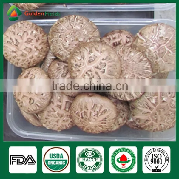 Shiitake Mushroom,Shiitake Mushroom Log ,Forest Shiitake Mushrooms photo-3